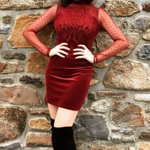 Free People Burgundy Velvet Mini Dress with Sheer Polka Dot Sleeves